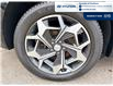 2021 Hyundai Palisade Ultimate Calligraphy (Stk: 6B006A) in Chatham - Image 5 of 24