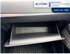 2021 Hyundai Palisade Ultimate Calligraphy (Stk: 6B006A) in Chatham - Image 17 of 24