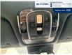 2021 Hyundai Palisade Ultimate Calligraphy (Stk: 6B006A) in Chatham - Image 21 of 24