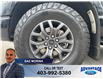 2022 Ford F-150 Tremor (Stk: S-126A) in Calgary - Image 9 of 22