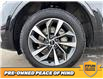 2021 Audi Q5 45 Technik (Stk: B0549) in Saskatoon - Image 6 of 25