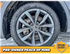 2023 Volkswagen Tiguan Comfortline (Stk: B0563) in Saskatoon - Image 6 of 25