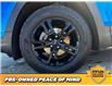 2024 GMC Terrain AT4 (Stk: B0571) in Saskatoon - Image 6 of 25