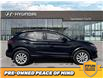 2023 Nissan Qashqai SV (Stk: F0681) in Saskatoon - Image 2 of 29