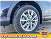 2023 Nissan Qashqai SV (Stk: F0681) in Saskatoon - Image 26 of 29