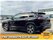 2019 Jeep Cherokee Limited (Stk: F0676) in Saskatoon - Image 8 of 28