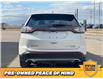 2016 Ford Edge Titanium (Stk: F0487A) in Saskatoon - Image 10 of 34