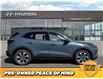 2023 Ford Escape Platinum (Stk: F0675) in Saskatoon - Image 2 of 29