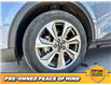 2023 Ford Escape Platinum (Stk: F0675) in Saskatoon - Image 27 of 29