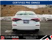 2024 Honda Civic EX (Stk: 10053A) in St. John’s - Image 6 of 13