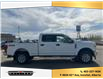 2022 Ford F-250 (Stk: 6196) in Innisfail - Image 6 of 15 2022 Ford F-250 (Stk: 6196) in Innisfail - Image 6 of 15