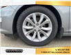 2024 Chevrolet Malibu 1LT (Stk: 24C122556) in Innisfail - Image 9 of 23