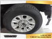 2022 Ford F-250  (Stk: 6196) in Innisfail - Image 7 of 11