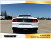 2021 Ford Mustang  (Stk: 6202) in Innisfail - Image 4 of 22
