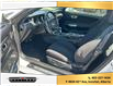2021 Ford Mustang  (Stk: 6202) in Innisfail - Image 13 of 22
