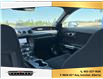 2021 Ford Mustang  (Stk: 6202) in Innisfail - Image 19 of 22