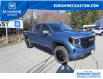 2024 GMC Sierra 1500 Pro (Stk: GR219738) in Sechelt - Image 8 of 17