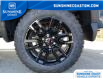 2024 GMC Sierra 1500 Pro (Stk: GR219738) in Sechelt - Image 17 of 17