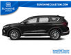2019 Hyundai Santa Fe Luxury (Stk: YP244242AA) in Sechelt - Image 2 of 11