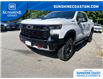 2022 Chevrolet Silverado 1500 ZR2 (Stk: GR154517A) in Sechelt - Image 9 of 17