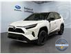 2024 Toyota RAV4 Hybrid XSE (Stk: 300107) in Lethbridge - Image 1 of 15