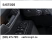 2024 GMC Sierra 3500HD Denali (Stk: RF449775) in Markham - Image 22 of 24