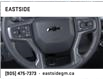 2025 Chevrolet Silverado 2500HD LT (Stk: S1122682) in Markham - Image 19 of 24