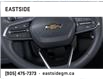 2025 Chevrolet Tahoe LS (Stk: SR136720) in Markham - Image 19 of 24