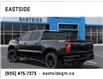 2025 Chevrolet Silverado 1500 RST (Stk: SZ169857) in Markham - Image 3 of 24