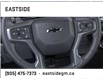 2025 Chevrolet Silverado 1500 RST (Stk: SG211328) in Markham - Image 19 of 24