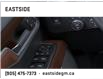 2025 GMC Sierra 2500HD Denali Ultimate (Stk: SF257642) in Markham - Image 22 of 24