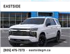 2025 Chevrolet Tahoe Premier (Stk: SR306997) in Markham - Image 6 of 24