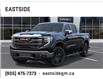 2025 GMC Sierra 1500 SLT (Stk: SG359654) in Markham - Image 6 of 24