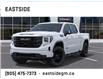 2025 GMC Sierra 1500 Elevation (Stk: SG362479) in Markham - Image 6 of 24