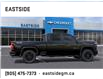 2025 Chevrolet Silverado 2500HD Custom (Stk: S1219568) in Markham - Image 5 of 24