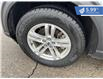 2023 Ford Explorer XLT (Stk: F25-016) in Tillsonburg - Image 10 of 23