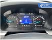 2023 Ford Explorer XLT (Stk: F25-016) in Tillsonburg - Image 19 of 23