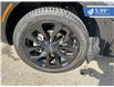 2022 Kia Sorento 2.5T EX (Stk: F24-005B) in Tillsonburg - Image 10 of 24