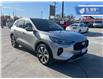 2024 Ford Escape Platinum (Stk: F25-015) in Tillsonburg - Image 8 of 21