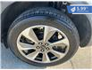 2024 Ford Escape Platinum (Stk: F25-015) in Tillsonburg - Image 10 of 21