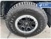 2023 Ford Bronco Badlands (Stk: F25-022) in Tillsonburg - Image 10 of 22