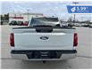 2024 Ford F-150 XLT (Stk: F25-017) in Tillsonburg - Image 5 of 20