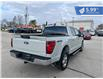 2024 Ford F-150 XLT (Stk: F25-017) in Tillsonburg - Image 6 of 20