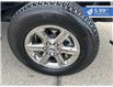 2024 Ford F-150 XLT (Stk: F25-017) in Tillsonburg - Image 10 of 20