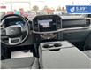 2024 Ford F-150 XLT (Stk: F25-017) in Tillsonburg - Image 14 of 20
