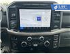 2024 Ford F-150 XLT (Stk: F25-017) in Tillsonburg - Image 17 of 20