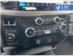 2024 Ford F-150 XLT (Stk: F25-017) in Tillsonburg - Image 19 of 20