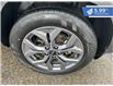 2025 Kia Seltos EX (Stk: P25-004) in Tillsonburg - Image 10 of 22