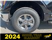 2024 Ford F-150 XLT (Stk: VFF22881) in Chatham - Image 7 of 22