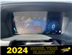 2024 Ford F-150 XLT (Stk: VFF22881) in Chatham - Image 14 of 22